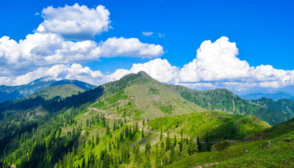 kashmir